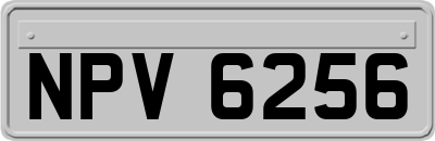 NPV6256