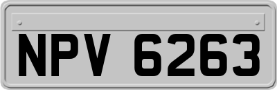 NPV6263