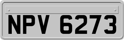 NPV6273