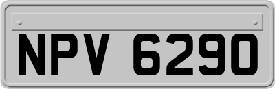 NPV6290