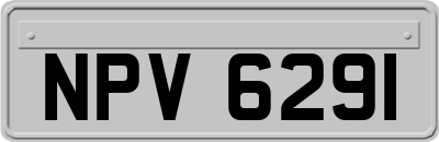 NPV6291