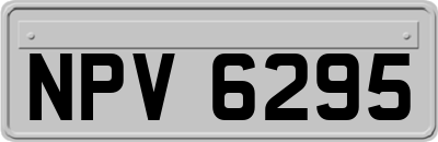NPV6295