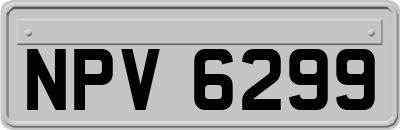 NPV6299