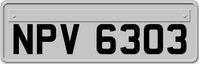 NPV6303