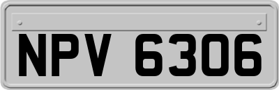 NPV6306