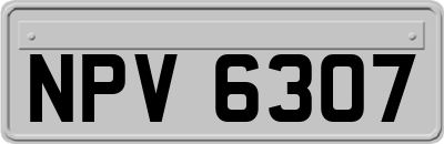 NPV6307