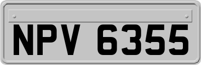 NPV6355
