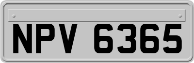NPV6365