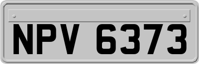 NPV6373