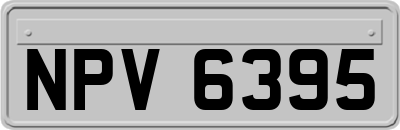NPV6395