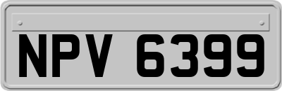 NPV6399