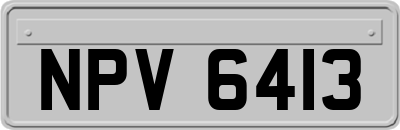 NPV6413