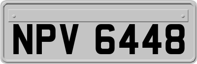 NPV6448
