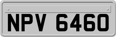 NPV6460