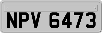 NPV6473