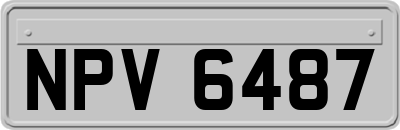 NPV6487