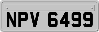 NPV6499