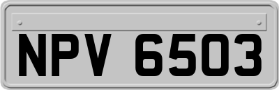 NPV6503