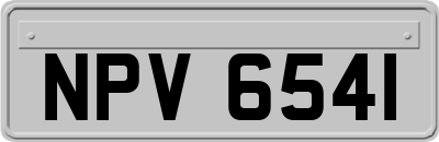 NPV6541