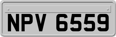 NPV6559