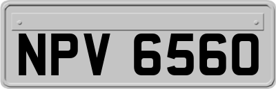 NPV6560