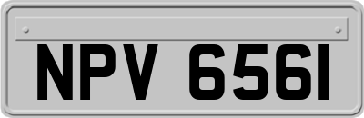 NPV6561
