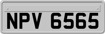 NPV6565