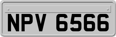 NPV6566