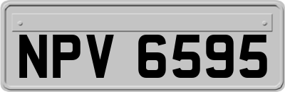 NPV6595