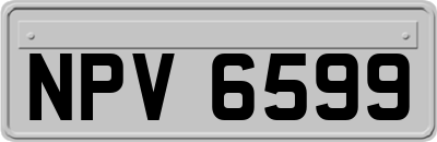 NPV6599
