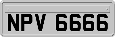 NPV6666