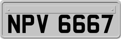 NPV6667
