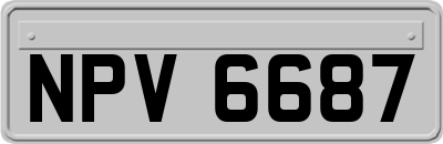 NPV6687
