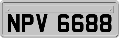 NPV6688