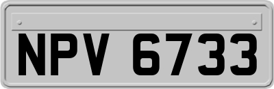 NPV6733