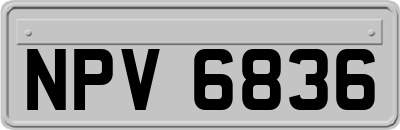 NPV6836