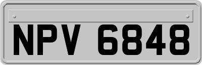 NPV6848