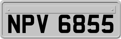 NPV6855