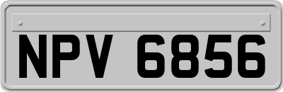 NPV6856