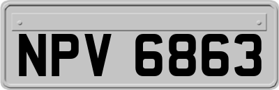 NPV6863