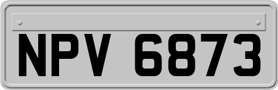 NPV6873