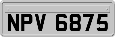 NPV6875