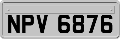NPV6876