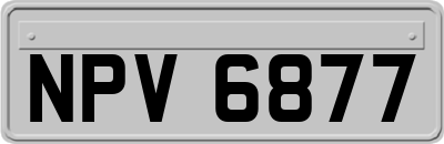 NPV6877