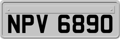 NPV6890
