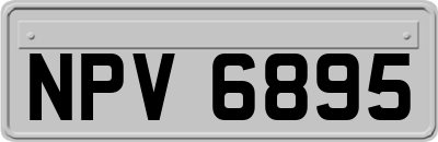NPV6895
