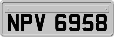 NPV6958