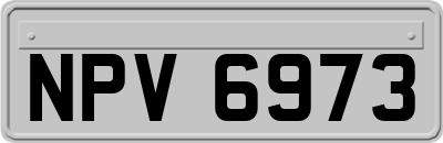 NPV6973