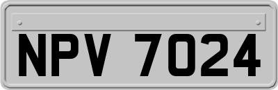NPV7024