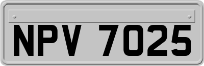 NPV7025